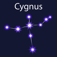 Illustration constellation Cygnus  with stars in the night sky