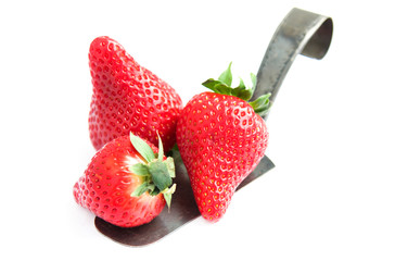 Fresh strawberries at silver spatula on white background