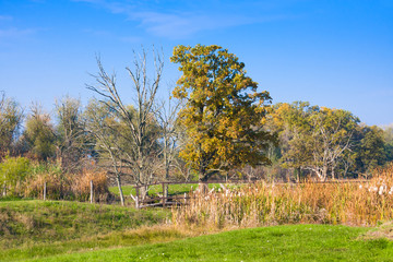 Hortobagy National Park, Hungary. It is Unesco World Heritage site since 1999. The Whole area is Natura 2000 protection area as well