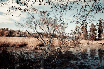 Залив © elenae333