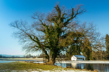 Weiherlandschaft