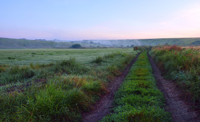 Foggy summer morning.Landscape with ground country road at sunrise.Dew in the grass.