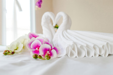 Spa and health care with flowers and towels. Natural products To the beautiful skin of the true health lover.