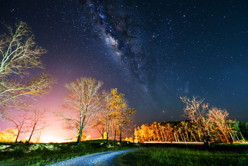 milky way rise above trees with strong light pollution. image contain soft focus, blur and noise due to long expose and high iso.