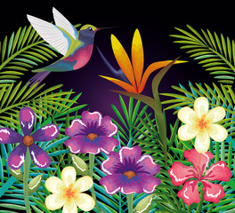 tropical and exotic garden with hummingbird vector illustration design
