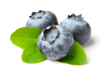 fresh blueberries with green leaves isolated on the white background