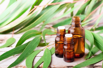Eucalyptus essential oil in the amber bottle