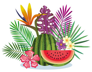 tropical garden with watermelon vector illustration design fruits, leaves and flowers, summer and exotic concept