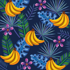 tropical garden with banana cluster vector illustration design fruits, leaves and flowers, summer and exotic concept