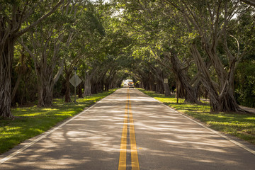 Obraz premium where to