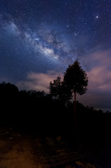 Fototapeta na wymiar milky way rise above trees. image content soft focus, blur and noise due to long expose and high iso.