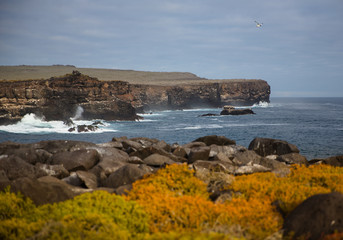 Colorful Galapagos Landscape