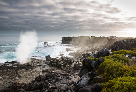 Galapagos Landscape with Blowhole