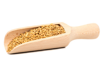 Seeds fenugreek in scoop