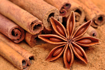 Cinnamon sticks with powder and star anise