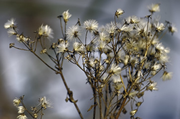 Vogelschutzgebiet Garstadt
