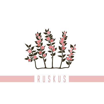 Vector illustration of a series of pictures with different flowers. The ruskus is depicted in a flat style.