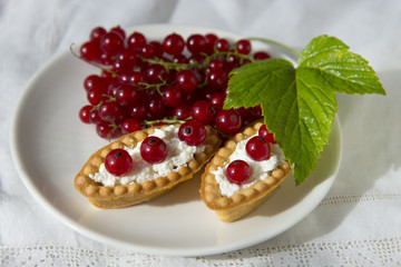 Tartlets of fresh red currant 