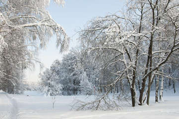 Fototapeta premium Winter landscape with a pond