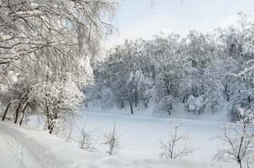 Winter landscape with a pond