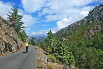 Corsica-cyclist on the way in pass Restonica