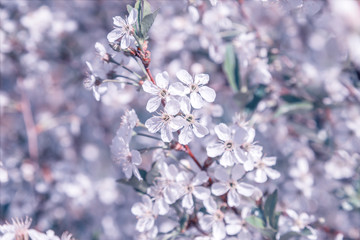 Image with purple tint.