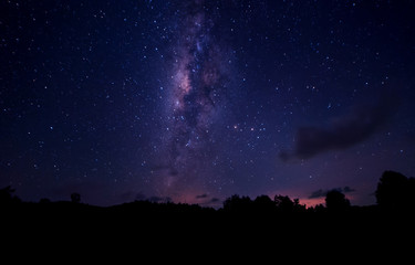 Fototapeta premium starry night and milky way galaxy night photograph. image contain soft focus, blur and noise due to long expose and high iso.