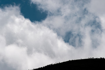 Dark silhouettes of hiking travelers in carpathian mountain on white massive clouds on backgrounds. Sport activity competitions. Conquering  highest top in Ukraine. Scenic route, tourist destination.