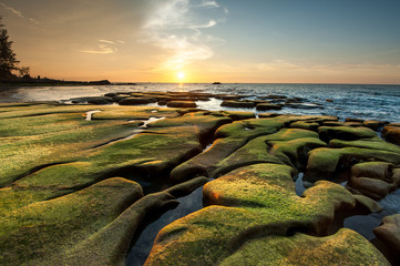 Obraz premium rocks covered by green moss by the beach during vibrant sunset.