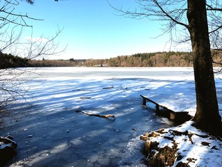 Frozen Lake in Winter Landscape with Snow