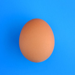 Brown egg on a blue background