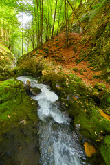Obraz premium River and canyon in Romania