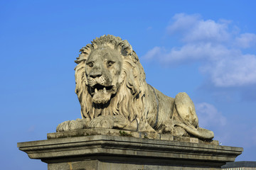 L&ouml;we der Kettenbr&uuml;cke  in  Budapest, Ungarn