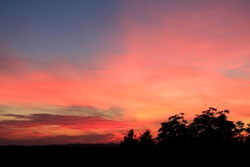 Sunset with trees in the foreground. Czech Republic