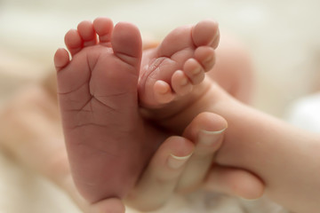 Obraz na płótnie Canvas Legs newborn in parents hand