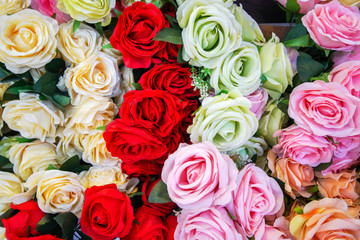 abstract background of multi-colored rose flowers.