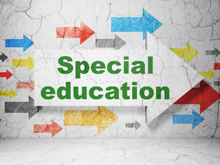 Education concept:  arrow with Special Education on grunge textured concrete wall background, 3D rendering