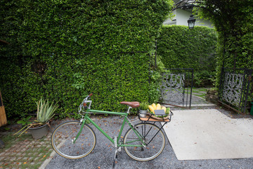 Fototapeta na wymiar Old vintage bike parking in garden of cafe