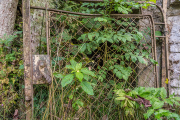 Gartent&uuml;r an einem verwilderten und verlassenen Ort