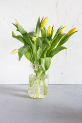 Yellow tulips in glass jar. Concrete background. 