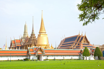 buddha statues