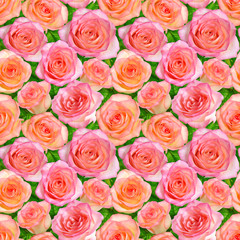 Seamless background with Pink roses