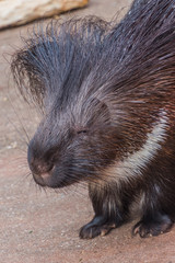 Zoom Erlebniswelt Gelsenkirchen