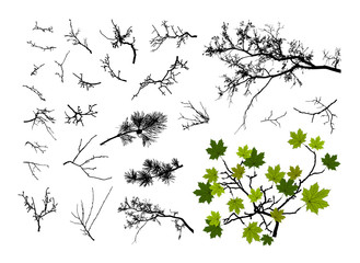 set of tree branches 