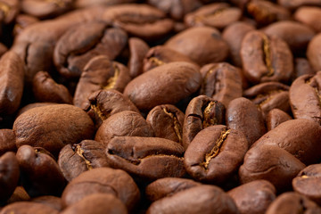 Fresh roasted coffee beans close-up