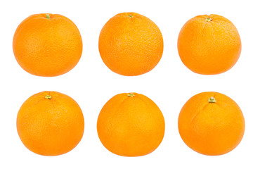 orange fruit