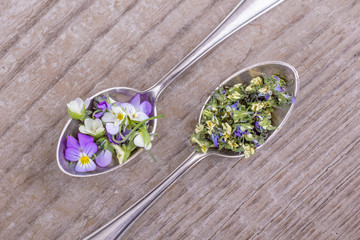 small, violet heartsease / Top view on two silver teaspoons with fresh and dried flowers from field pansy  on wooden background 