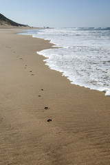 Typical wild beach in Tangier