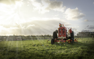 Poppy Tractor