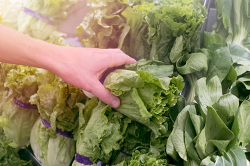 A man takes lettuce in a local market, closeup photo